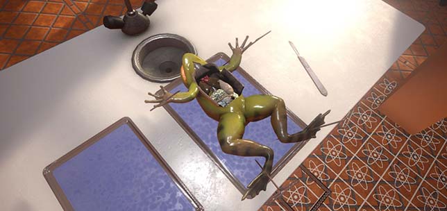 While dissections are an integral part of most biology classes, many states now have laws in place that give students the right to opt out of animal dissections. The new solution offers schools an option, starting with a VR frog, which is expected to be available in this quarter.